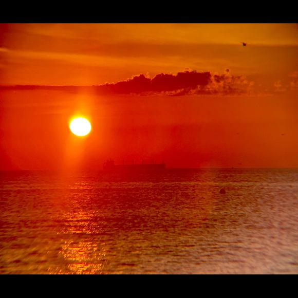 Meet your Posher, Julie - Picture 1 of 1